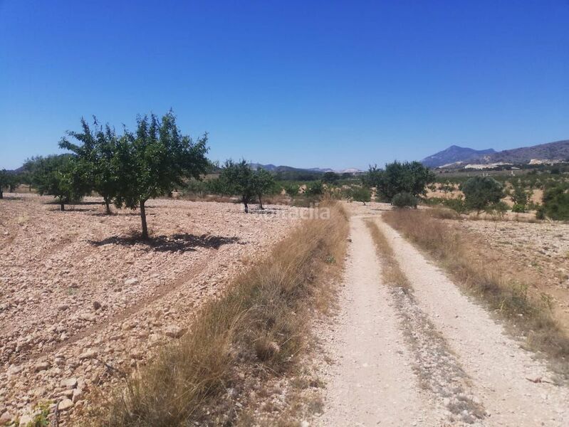 Foto 24b6fe7a-dbab-4004-9a8d-944ba0432259. Rural plot in el poste partido de collado del rey 176 in Abanilla