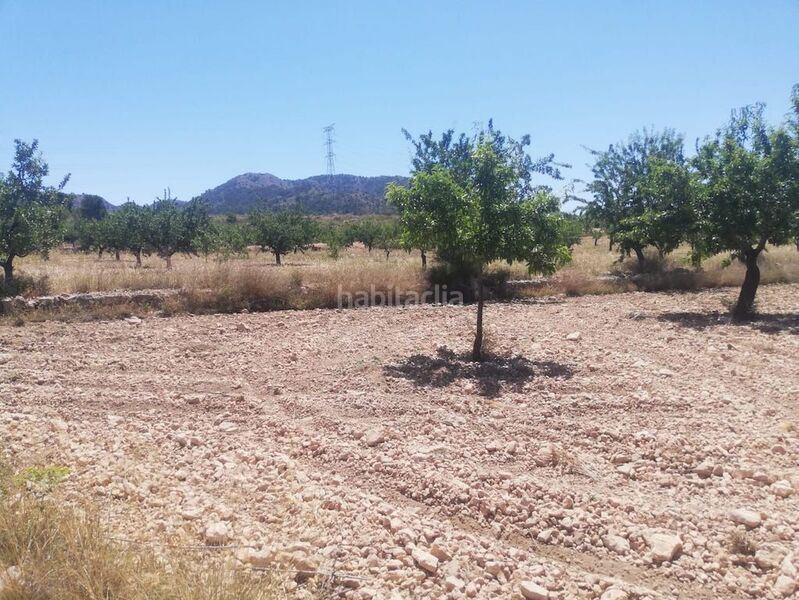 Foto 4d726c3a-cfcc-44e4-befa-be7a6bcc2970. Rural plot in el poste partido de collado del rey 176 in Abanilla