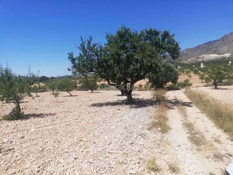 Foto b0bc76ae-8c7a-43ae-8216-4cdc43ad6f70. Rural plot in el poste partido de collado del rey 176 in Abanilla