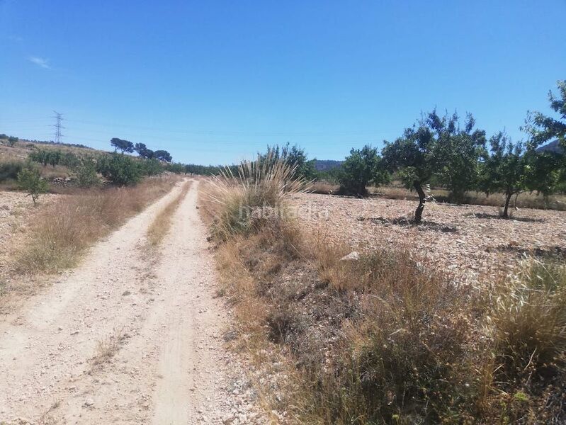 Foto ed1a8542-a0e9-470d-b4cb-d7f72f7e0e31. Rural plot in el poste partido de collado del rey 176 in Abanilla