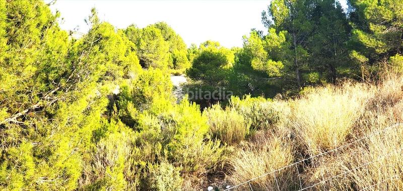 Foto a3d1ae7d-724c-4281-b1f7-86dc4096ae64. Fondo rustico in monteral 210 in Mula