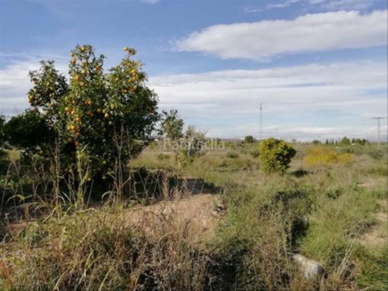 Foto 7194834e-c8fe-4dc8-8567-e9e1ab2ee12c. Fondo rustico in huerto naranjos in Javalí Nuevo Murcia