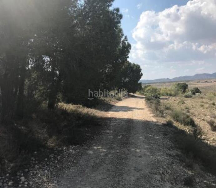 Foto 1eac9525-4721-4885-84ae-c80eb3ba9d50. Finca rústica a benis s/n a Cieza