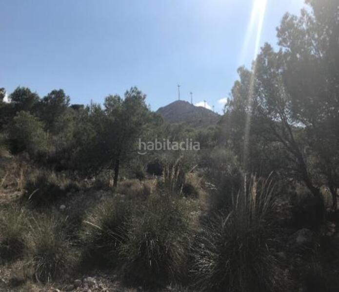 Foto 3d5d8578-30f0-4c6d-8486-b00015313fa8. Finca rústica a benis s/n a Cieza