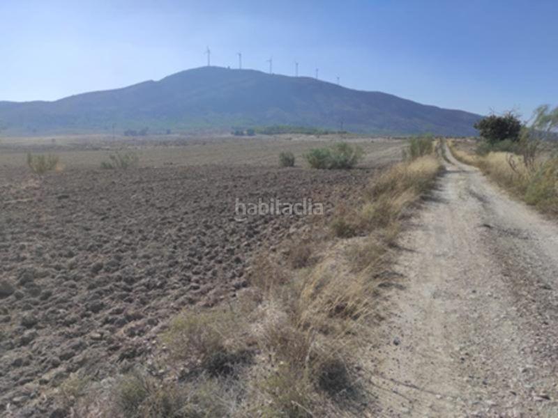 Foto 48fd92a1-71dc-462d-8f58-325e7c1d65c9. Finca rústica a benis s/n a Cieza