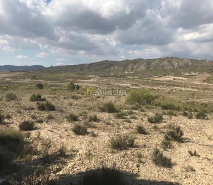 Foto d7ce0d27-e9c6-400b-ac90-5225de9618f3. Finca rústica a benis s/n a Cieza