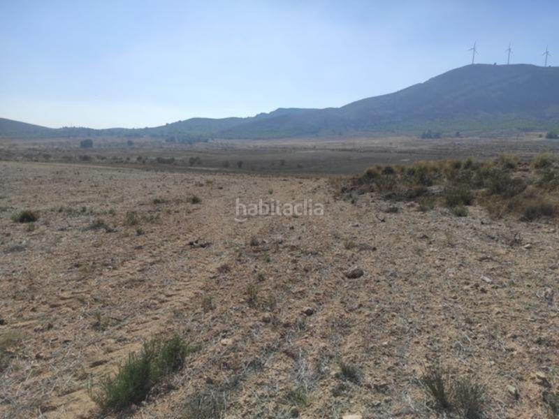 Foto f5c3c2ec-d14f-489e-9309-61d58eeb36b4. Finca rústica a benis s/n a Cieza