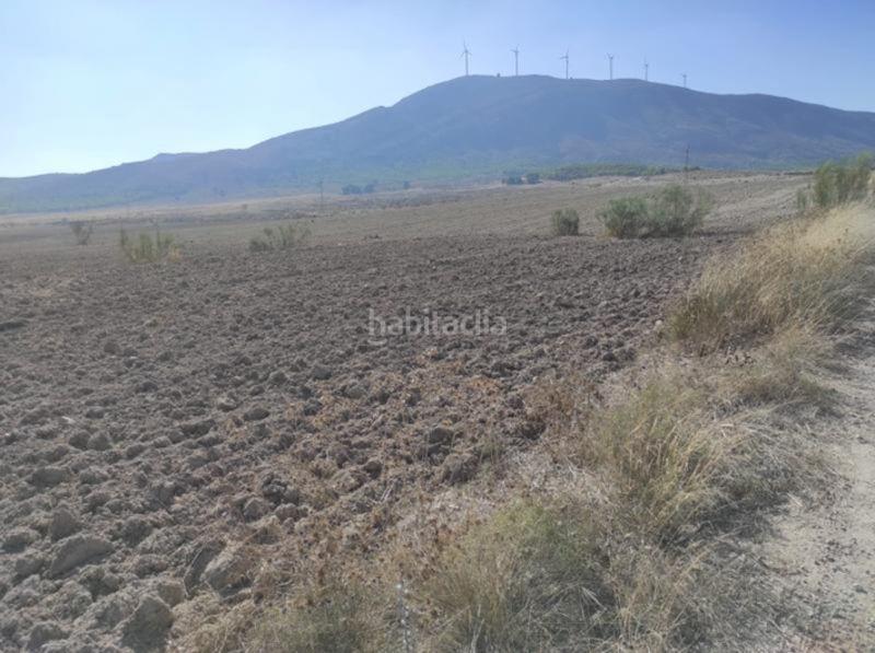 Foto f85c395f-018f-4002-a8c0-541ad9a0797a. Finca rústica a benis s/n a Cieza