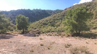 Propriété à Lorca 0. Venta de finca rústica en vía lorca n 0 lorca