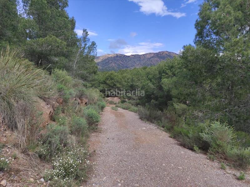 Foto a6e5811b-3953-4a72-be7f-0c2365e9edc0. Finca rústica a Lorca 0 a La Hoya Lorca
