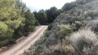 Finca rústica a Lorca 0. Venta de finca rústica en vía lorca n 0 lorca