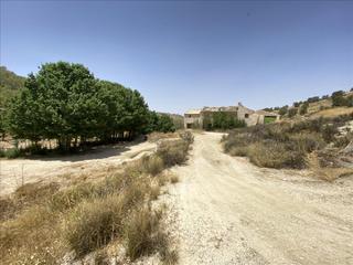 Finca rústica en Peralejo jumilla sn. Venta de 12 fincas rústicas en polígono peralejo. jumilla n sn j