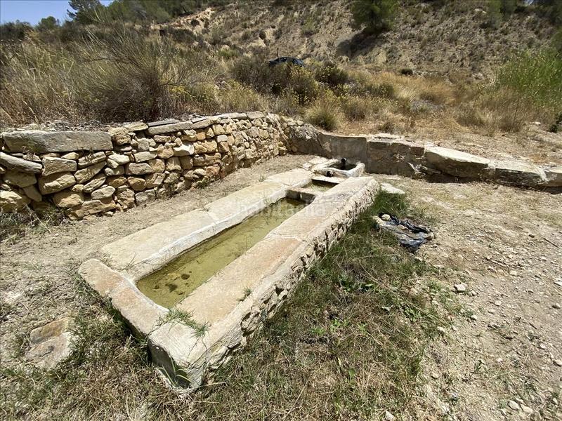 Foto 1a1750a3-169b-4166-90cc-56b33998b31a. Rural plot in peralejo Jumilla sn in Jumilla