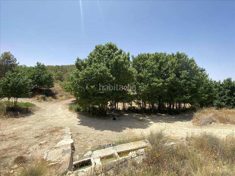 Foto 25db1bf4-6b61-41e7-a003-1ef3ac87231e. Rural plot in peralejo Jumilla sn in Jumilla