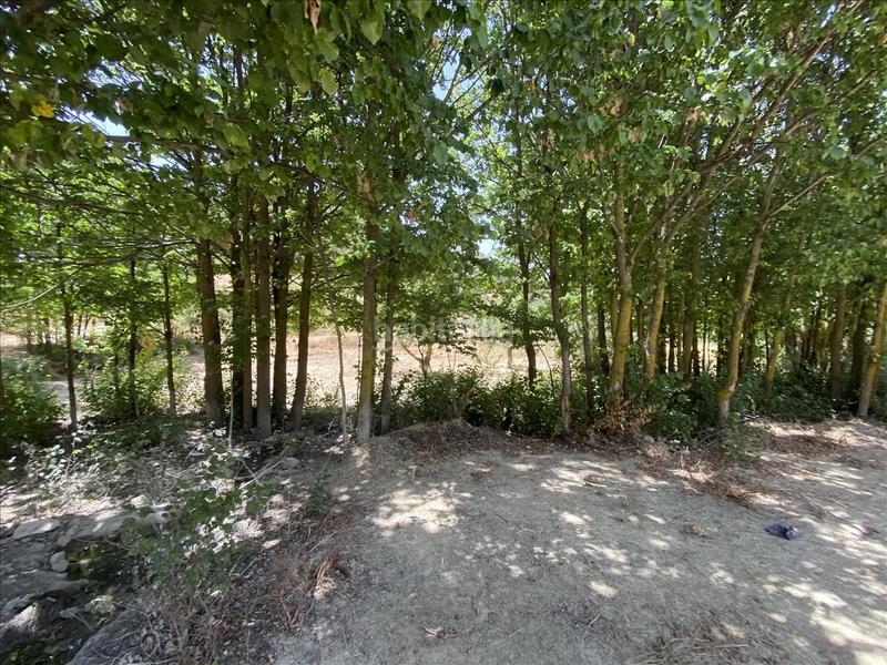 Foto 8994ce48-a286-4e9d-b346-1d87ab009bdc. Rural plot in peralejo Jumilla sn in Jumilla