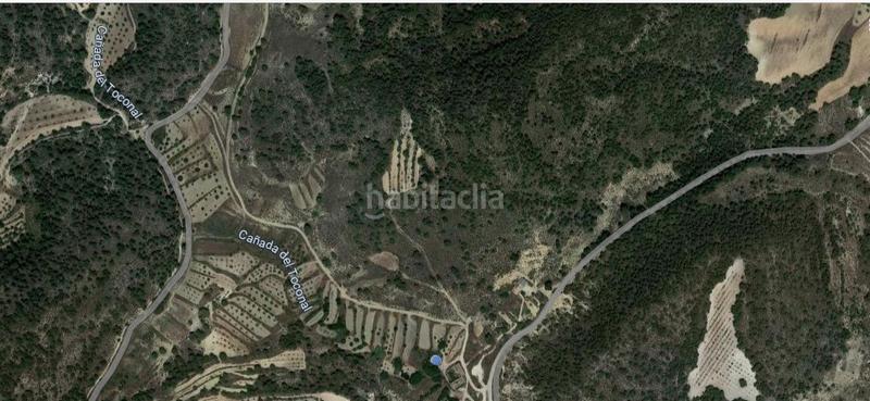 Foto 8e16fc12-c888-4a15-8ea2-6bcc1e147f49. Rural plot in peralejo Jumilla sn in Jumilla