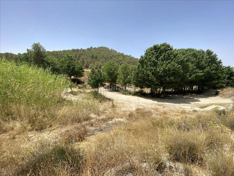 Foto 90bba238-d191-43be-8489-ff34ce956275. Rural plot in peralejo Jumilla sn in Jumilla