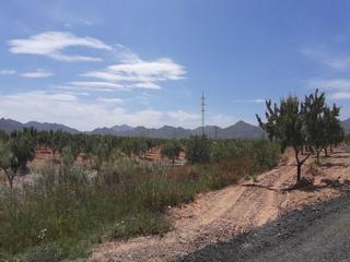 Finca rústica a Los barrancos y paganes 240. Venta de finca rústica en los barrancos y paganes n 240 fuente á