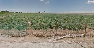 Pis a Los lorcas 27. Venta de finca rústica en polígono los lorcas n 27 san javier mu