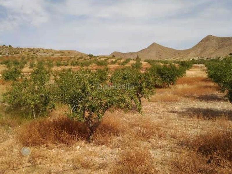 Foto 133d0b82-5bee-4c6a-a36c-72d96fdf42d0. Fondo rustico in La Magdalena - Molinos Marfagones Cartagena