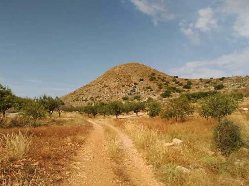 Foto 3dfdf8a6-cb42-4123-8f03-409e9cad2656. Fondo rustico in La Magdalena - Molinos Marfagones Cartagena