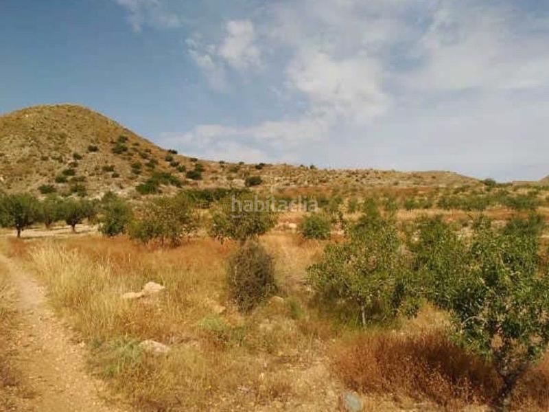 Foto 7cba4018-42be-4790-9f37-57a003e2922e. Fondo rustico in La Magdalena - Molinos Marfagones Cartagena