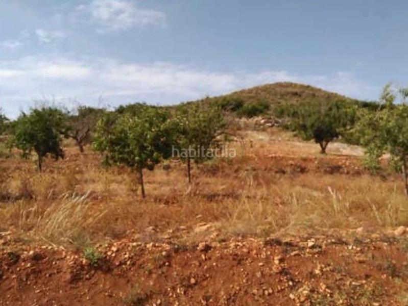 Foto aa2548f0-475e-4fa5-ad31-94d4e604c997. Fondo rustico in La Magdalena - Molinos Marfagones Cartagena