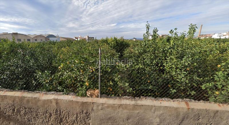 Foto 97e120b3-d724-4062-b16a-76f8174af832. Terreny residencial a San José de la Vega Murcia