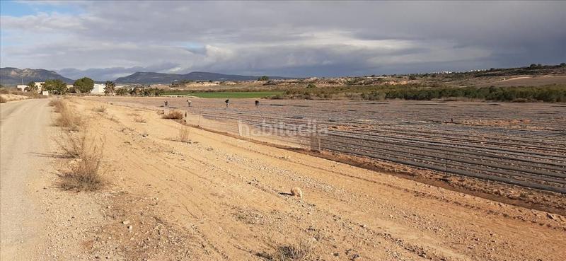 Foto 26746948-b942-4b39-ba39-9da72729c9fe. Residential plot in Gea y Truyols Murcia