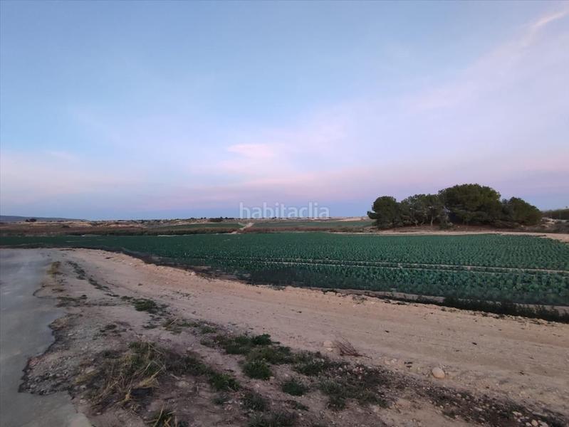 Foto 29fca32f-5931-4ad9-8831-24ad5c9a664f. Residential plot in Gea y Truyols Murcia