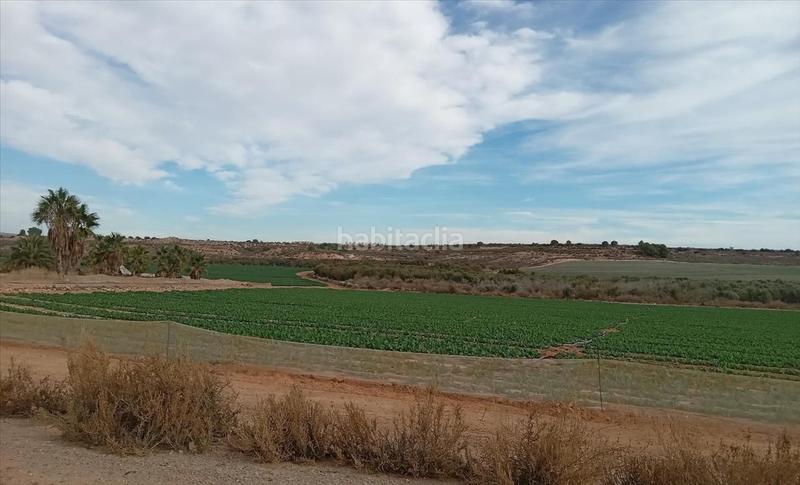 Foto 3418fffe-86c1-46c3-b077-0f2558bc4fd8. Residential plot in Gea y Truyols Murcia