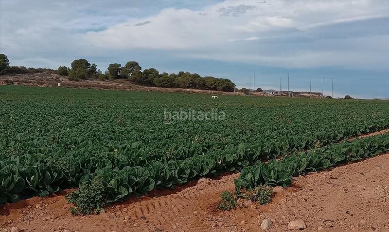 Foto 7571e82a-c49c-4df8-a2a9-eb5446d07a66. Residential plot in Gea y Truyols Murcia