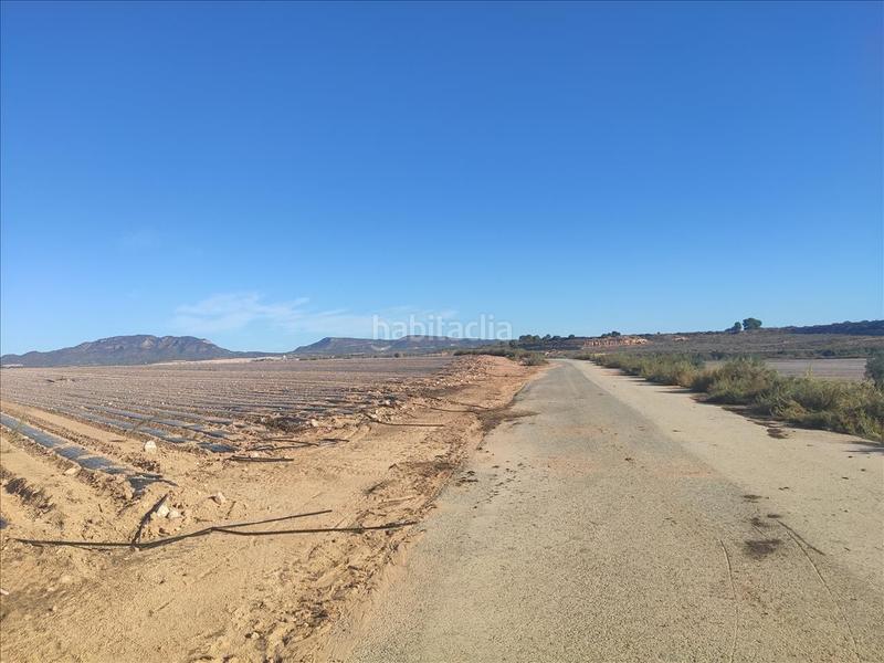 Foto afded832-d360-438c-b4a5-4dc040040d0b. Residential plot in Gea y Truyols Murcia