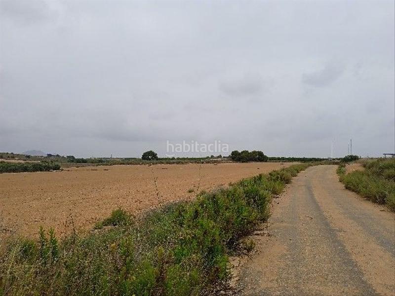 Foto b0a59844-cb48-4a78-880c-6f678cc42bd4. Residential plot in Gea y Truyols Murcia