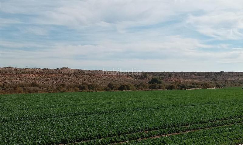 Foto fa3b26de-0099-4531-9af3-d581415a1606. Residential plot in Gea y Truyols Murcia