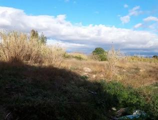Rural plot  Calle agustin garcia solano