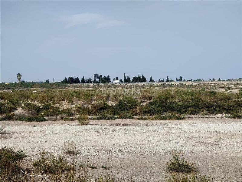 Foto 425ef12e-5f01-49f8-b6c3-f4ed5ac492fa. Finca rústica a El Palmar Murcia