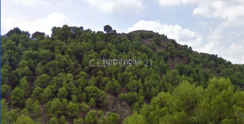 Foto b0336561-5585-4706-a310-fd4e94a9f821. Fondo rustico in Puntarrón Lorca