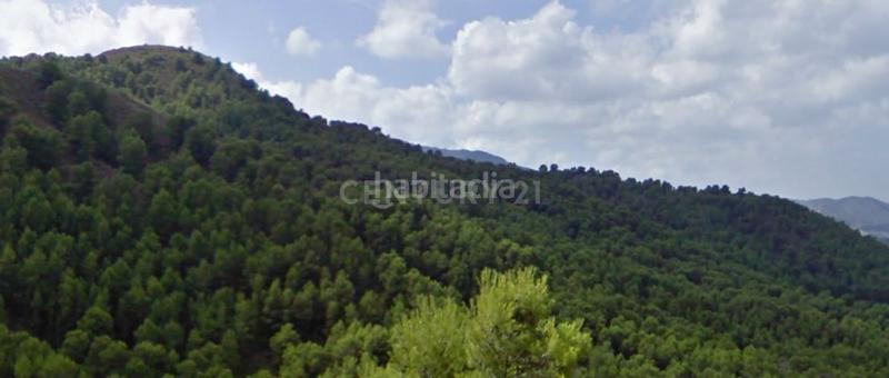 Foto ceed1f19-362d-499e-8683-09b1895c9ef6. Fondo rustico in Puntarrón Lorca