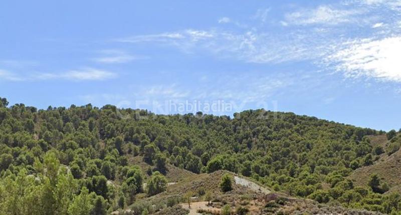 Foto f3260e0e-8b9e-47dd-bf6f-4c7eb837aa90. Fondo rustico in Puntarrón Lorca