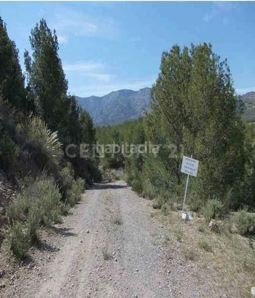 Foto 05a0d7a8-7818-456a-8284-f2f60ce9d074. Finca rústica en Puntarrón Lorca