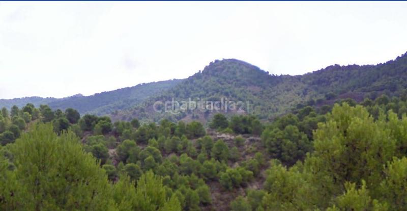Foto f0c16f4b-2fe4-47c0-b9ba-d62a617b0607. Finca rústica en Puntarrón Lorca