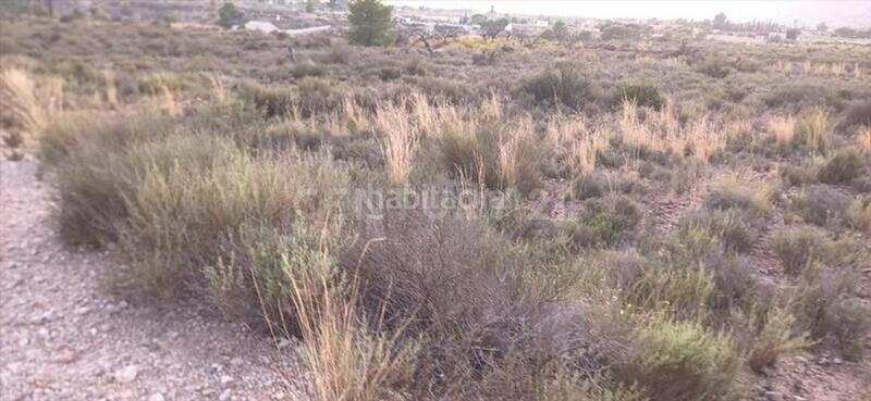 Foto e5a51498-91d5-4bd2-a09b-31fc65ceecb4. Finca rústica a Abanilla