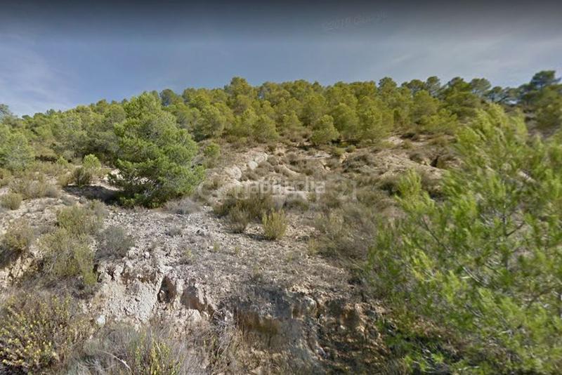 Foto 46449c3b-014a-47ed-a770-6432c974ae66. Rural plot in Fortuna