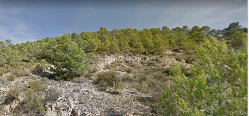 Foto 58027ee0-e516-4e28-8ddf-6b8467c3f65b. Rural plot in Fortuna