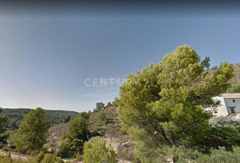 Foto 7dff33bf-8ac2-4166-9abf-b15754d0e853. Rural plot in Fortuna