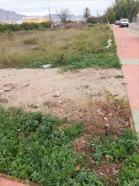 Foto c88d5766-193c-4154-bdf7-41607eef722d. Fondo rustico in El Raal Murcia