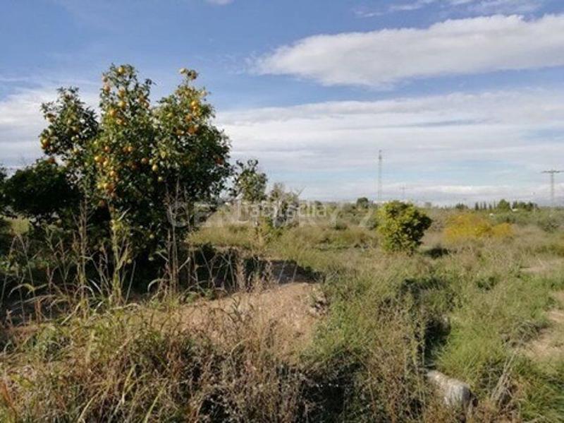 Foto 0ff46e6f-6e8a-4955-86ac-39e31096c099. Landgut in camino huerto naranjos 0 in Javalí Nuevo Murcia