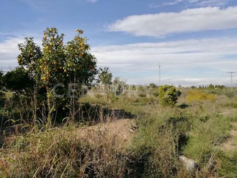 Foto 3e03aef5-b9ae-4d53-a9c8-14386ee0cb74. Finca rústica en camino huerto naranjos 0 en Javalí Nuevo Murcia