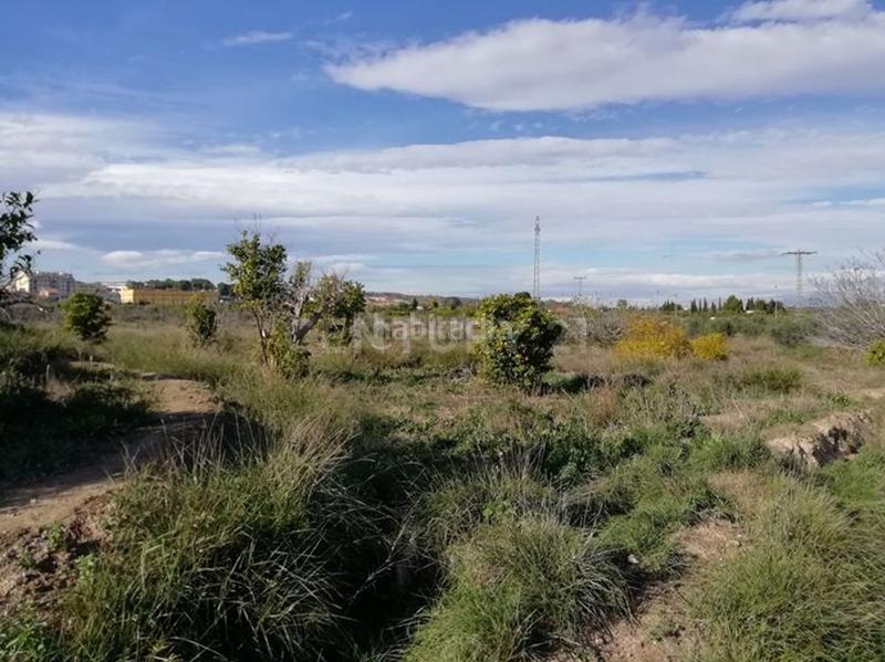 Foto 449b684a-ea1d-445e-b561-14748f96fb94. Finca rústica en camino huerto naranjos 0 en Javalí Nuevo Murcia